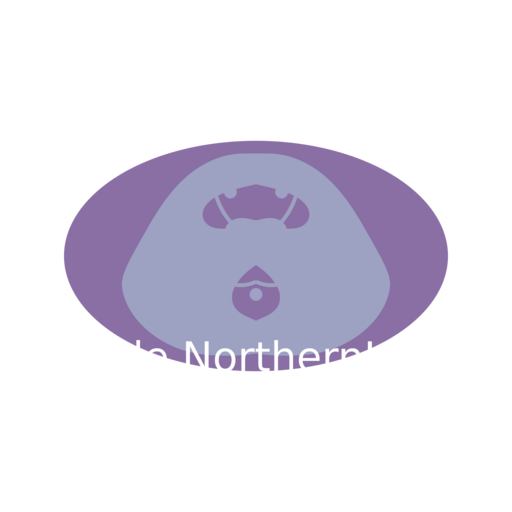 Norde NorthernLight Logo